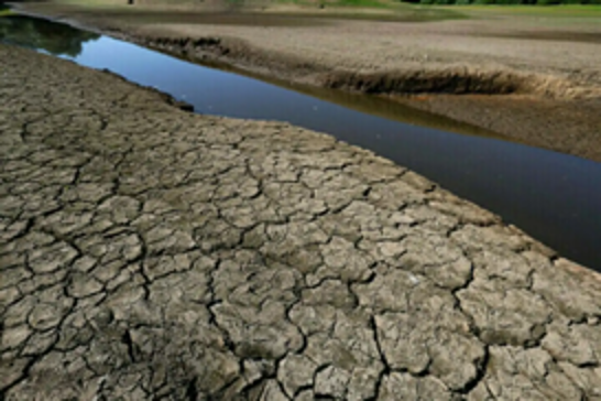 WMO: Water scarcity could hit 5 billion people by 2050
