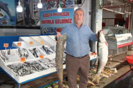 Av yasağı kalktı, balık piyasası hareketlendi