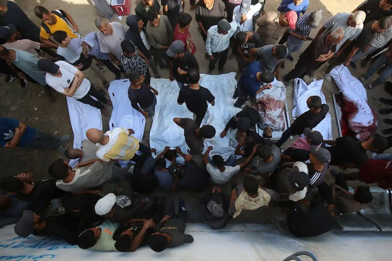 Genocide in Gaza: 75 dead, hundreds injured in 24 hours