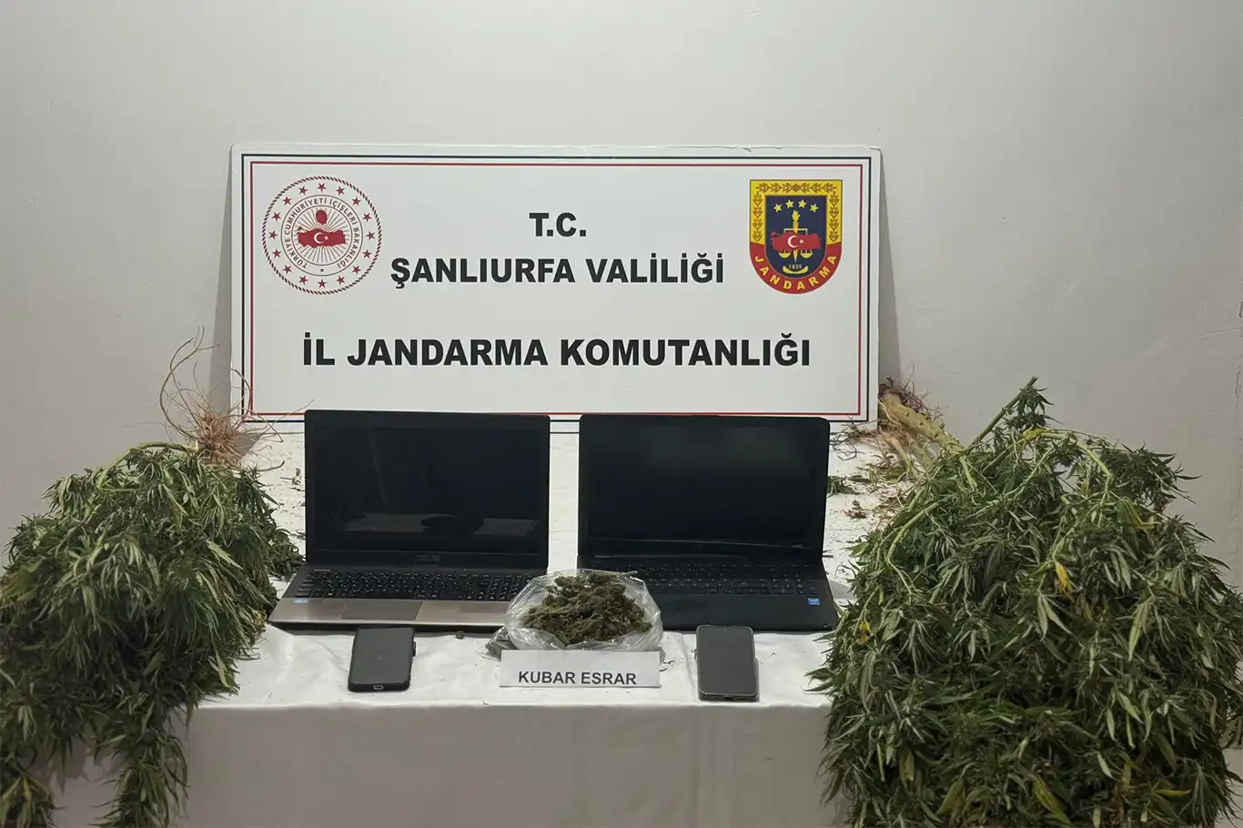 Şanlıurfa’da uyuşturucu ve dolandırıcılık operasyonu Şanlıurfa’da uyuşturucu ve dolandırıcılık operasyonu