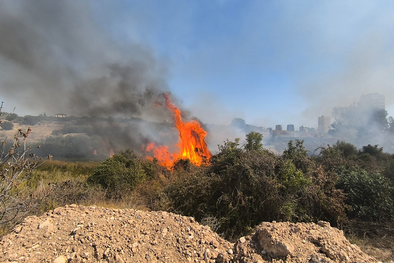 Mersin'de korkutan yangın