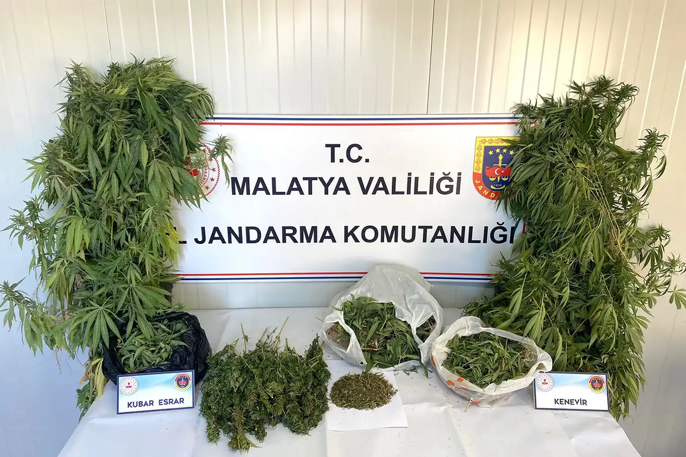Malatya'da uyuşturucu ve tarihi eser operasyonu: 1 tutuklama