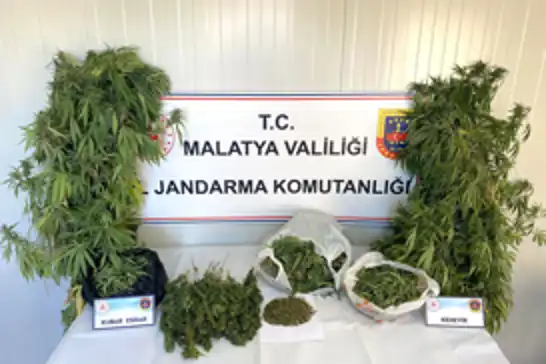 Malatya'da uyuşturucu ve tarihi eser operasyonu: 1 tutuklama