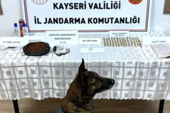 Kayseri'de tarihi eser operasyonu: 1 gözaltı