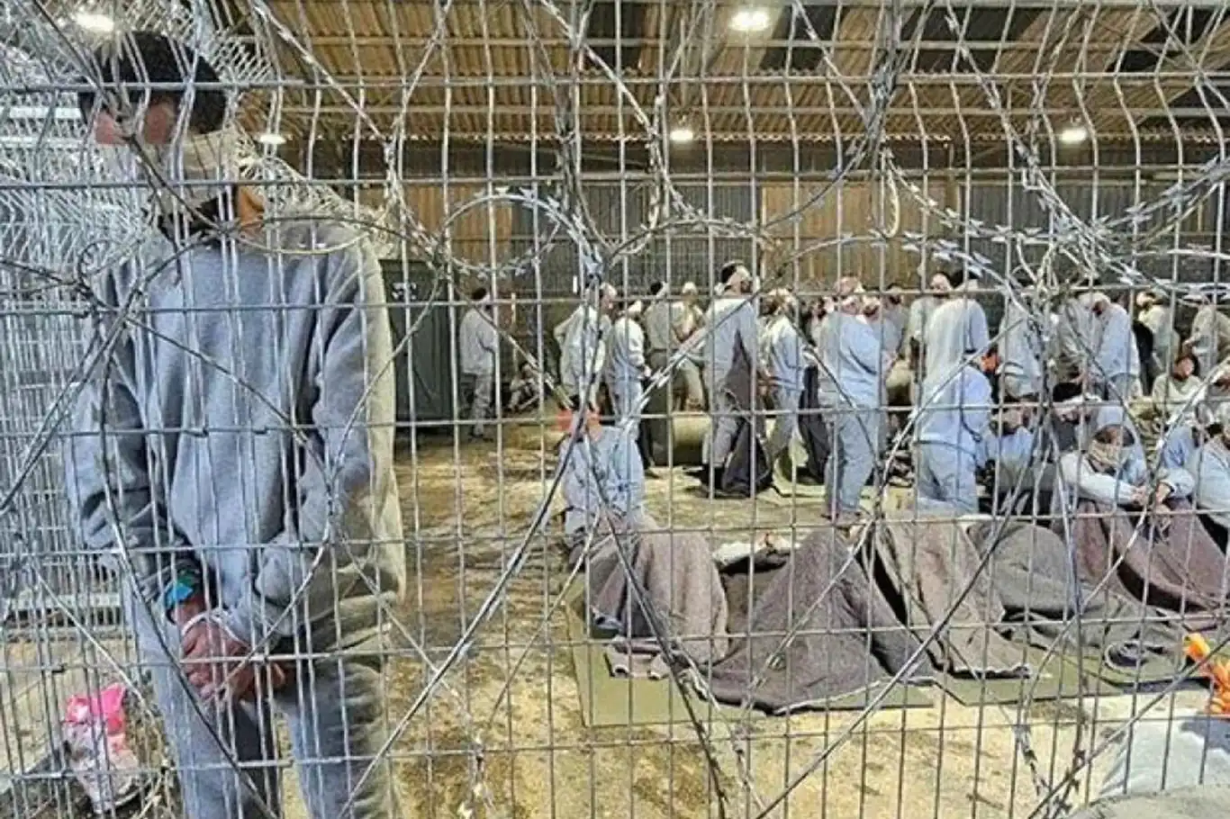 PPS: Israeli bill seeks to legalize extrajudicial executions in prisons
