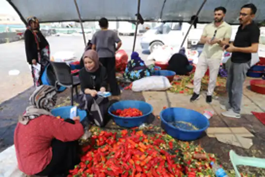 Şanlıurfa’da mevsimlik işçilere sağlık molası