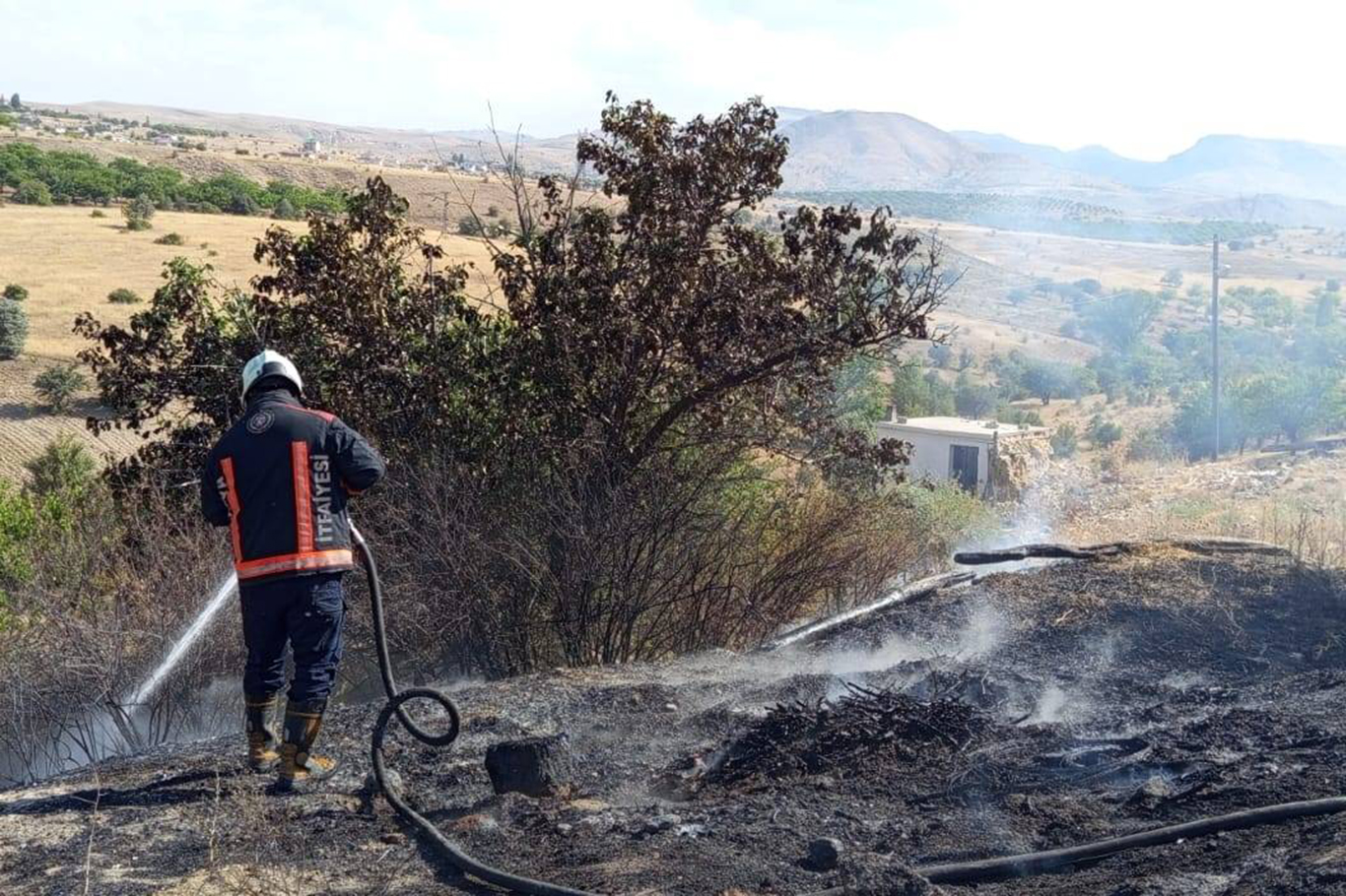 Malatya'da bahçe yangınlarında ağaçlar zarar gördü Malatya'da bahçe yangınlarında ağaçlar zarar gördü
