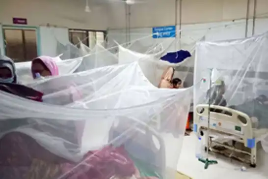 Bangladeş'te dang humması nedeniyle yüzlerce kişi hastane kaldırıldı: 135 can kaybı