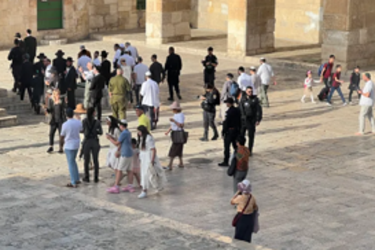 İslam dünyasının sessizliği işgalcilerin cesaretini artırıyor: Mescid-i Aksa'ya baskın