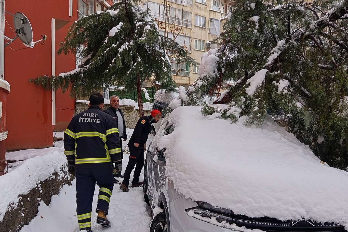 Siirt’te kar tehlikesi: Çam ağacı otomobilin üzerine devrildi