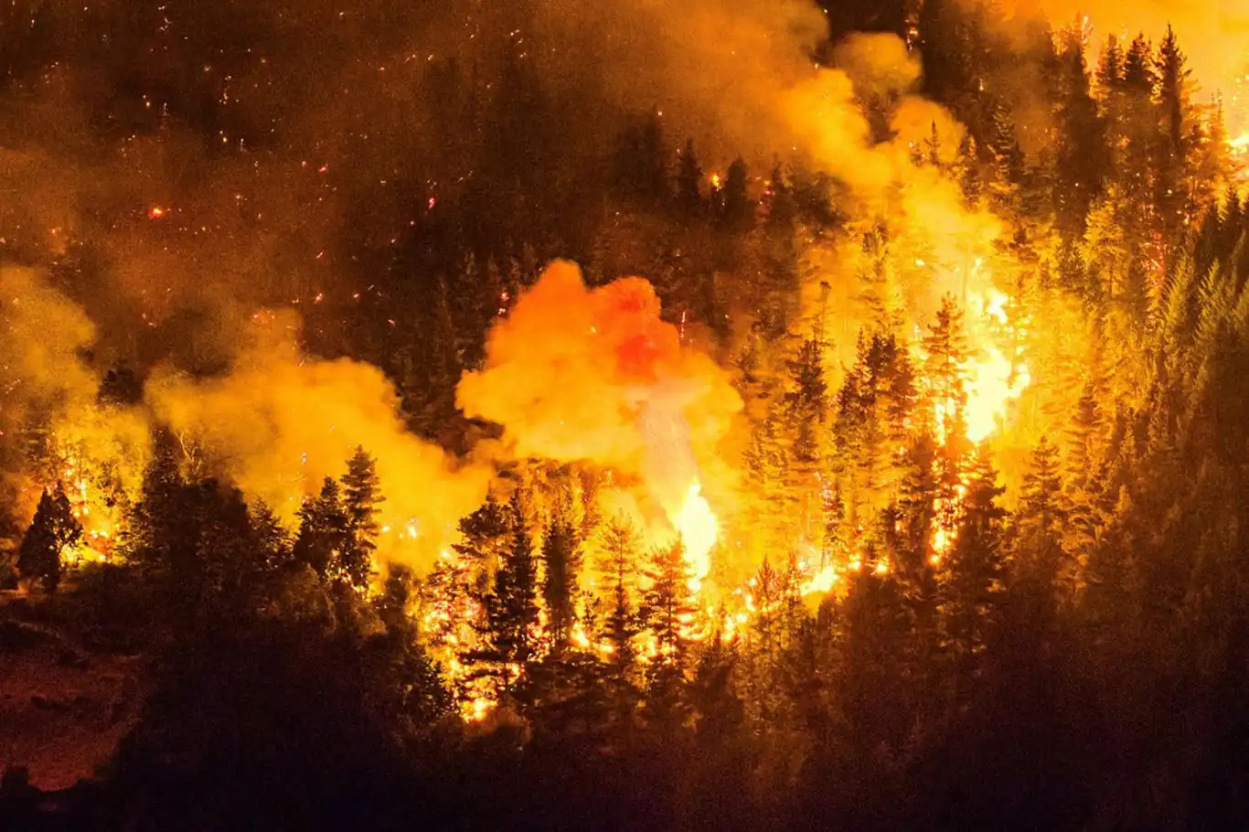 Widespread wildfire burns over 5,500 hectares in southern Argentina