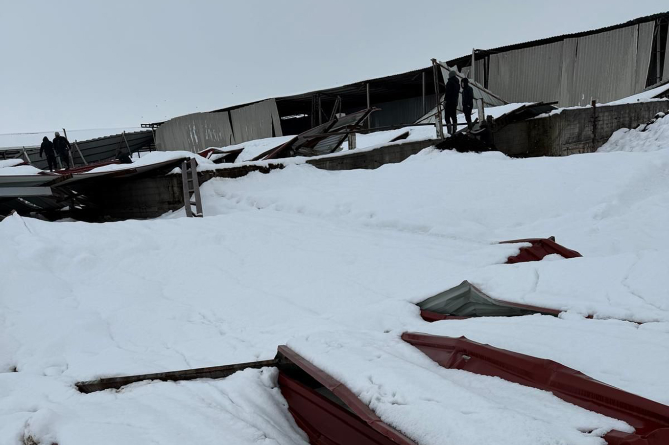 Bismil'de karın ağırlığına dayanamayan çatılar çöktü: 20 biçerdöver hasar gördü