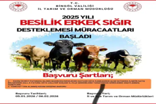 Bingöl’de besilik erkek sığır destekleme başvuruları başladı