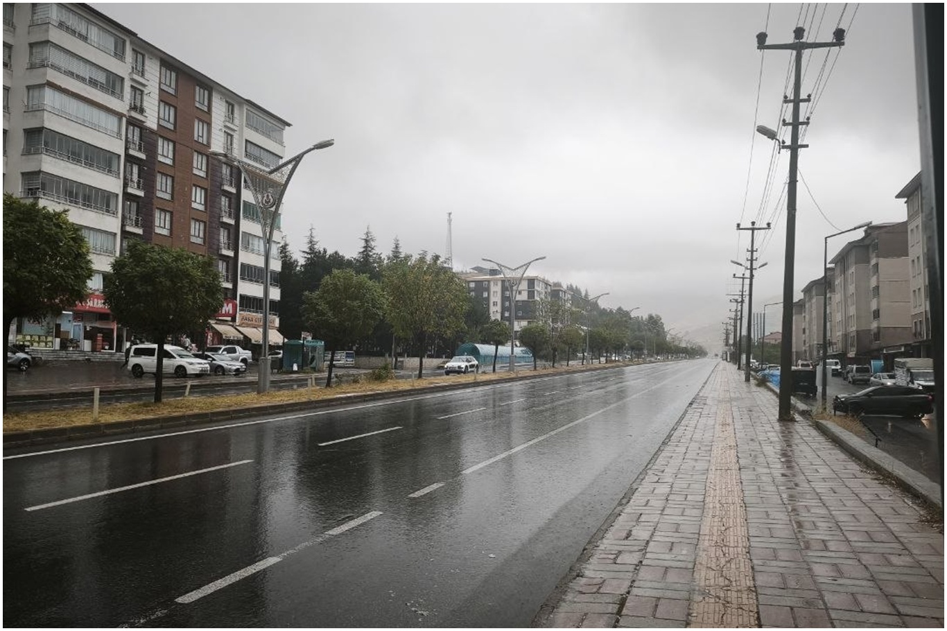 Bitlis’te sağanak yağış etkili oldu