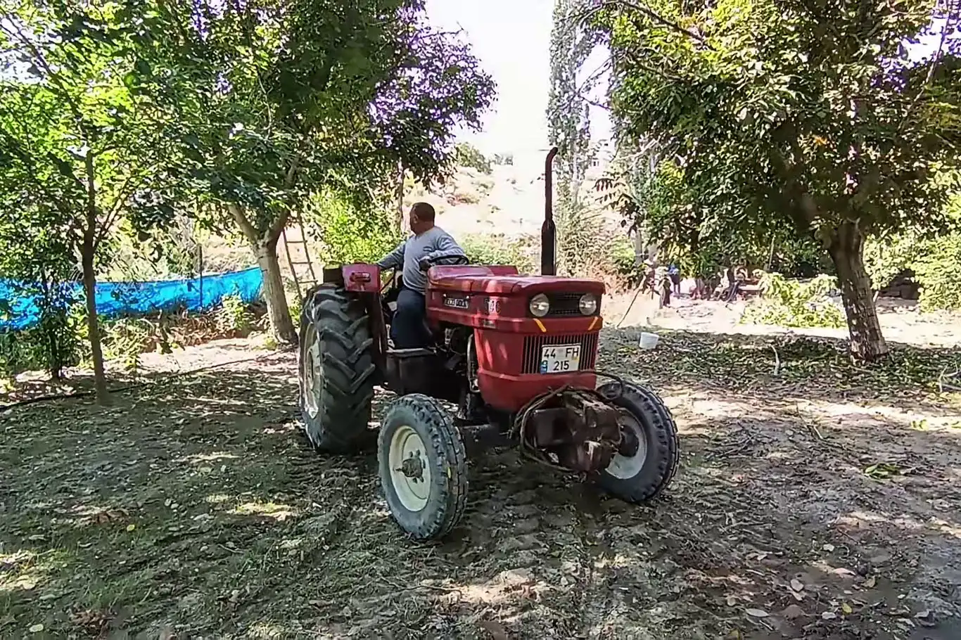 Ceviz hasadı yeni teknolojiyle 10 günden bir güne indi