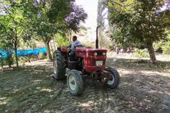 Ceviz hasadı yeni teknolojiyle 10 günden bir güne indi