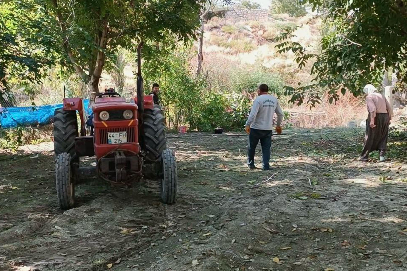 Ceviz hasadı yeni teknolojiyle 10 günden 1 güne indi