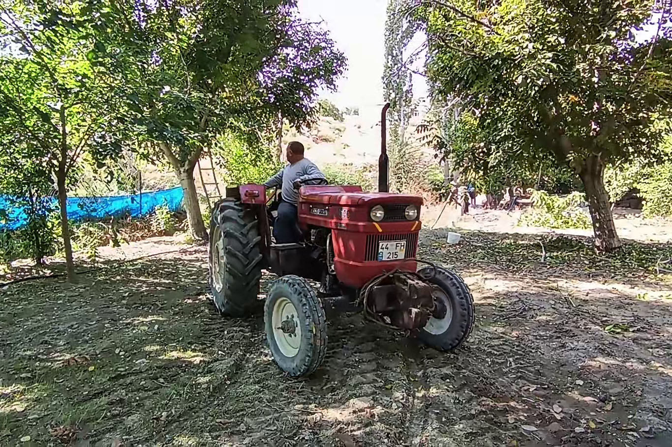 Ceviz hasadı yeni teknolojiyle 10 günden bir güne indi