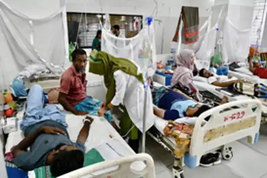 Bangladeş'te dang humması nedeniyle 307 can kaybı