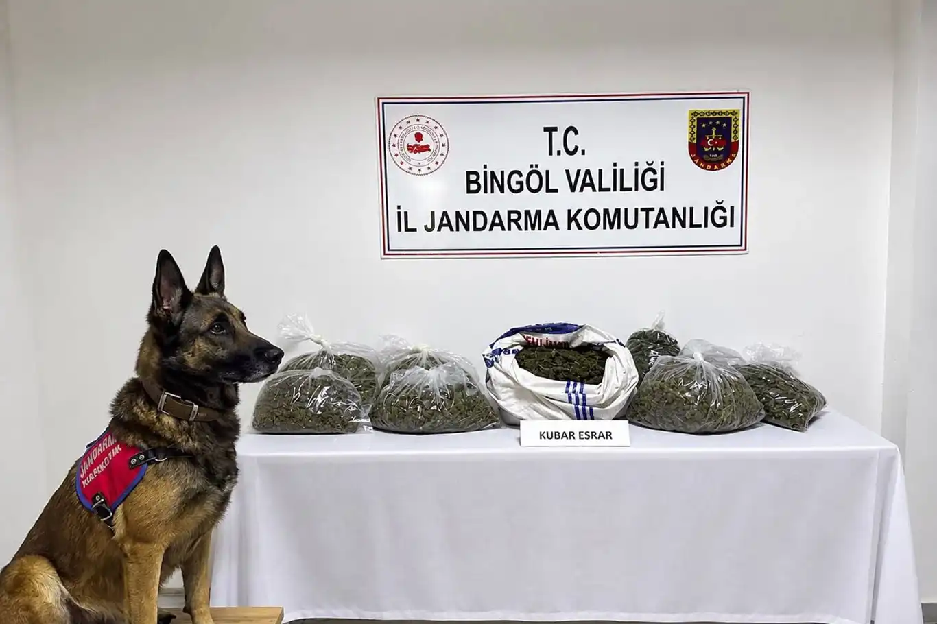 Bingöl'de asayiş, narkotik ve kaçakçılık operasyonları: 31 şüpheli hakkında işlem yapıldı