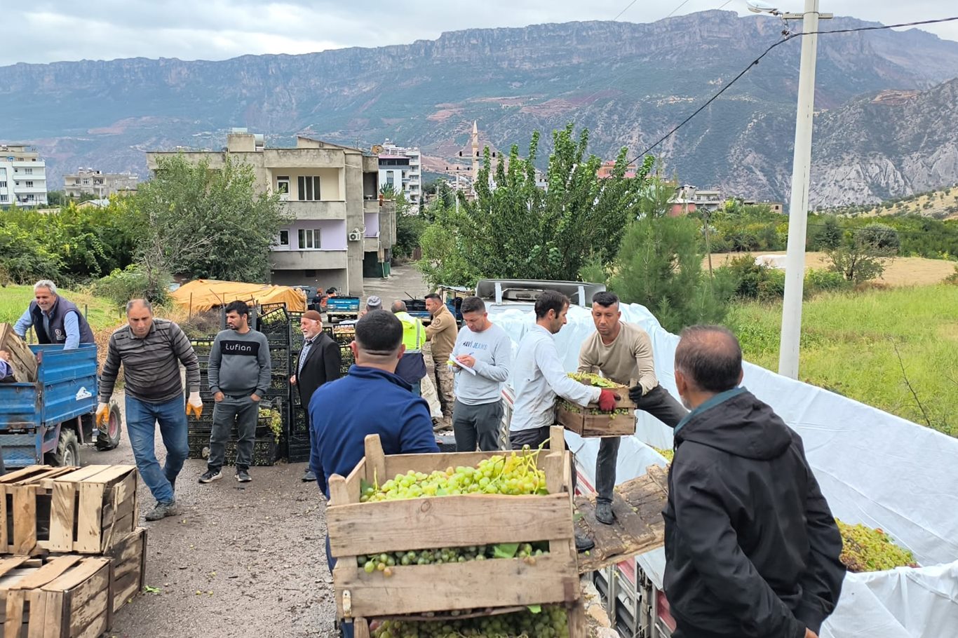 Üzüm üreticilerinden düşük alım fiyatlarına tepki: Tüccara satmayıp sirke yapacaklar