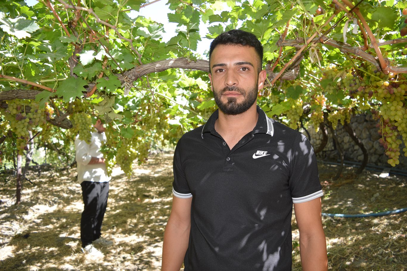 Tarık Aziz İdiz