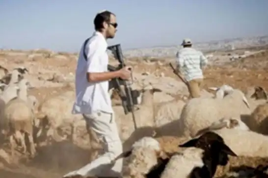 Siyonist işgalciler Batı Şeria'da Filistinli çiftçileri hedef aldı