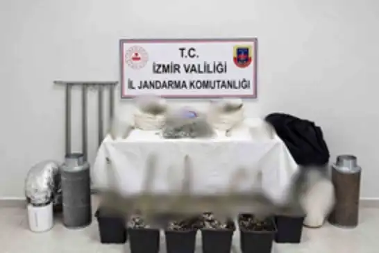 Karabağlar’da evde kenevir yetiştirme düzeneği bulundu