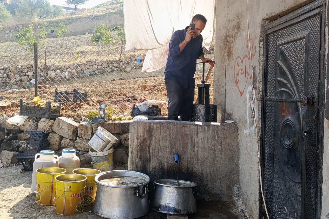 Üzümden pekmez, pestil ve cevizli sucuk yapılıyor