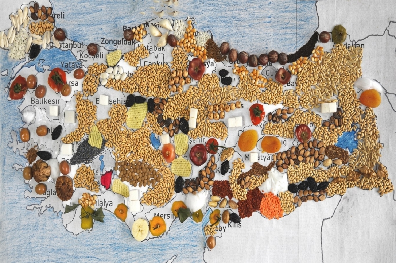 Türkiye’s agriculture and food sector faces production challenges despite export strength