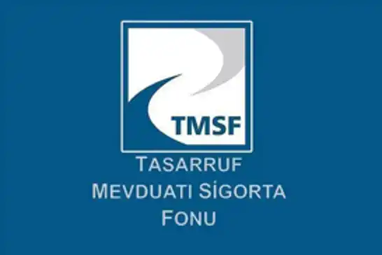 TMSF, Tera Yatırım Teknoloji Holding'e kayyum olarak atandı