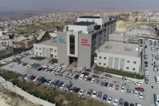 Şanlıurfa'da iki otomobil çarpıştı: 1 ölü, 7 yaralı