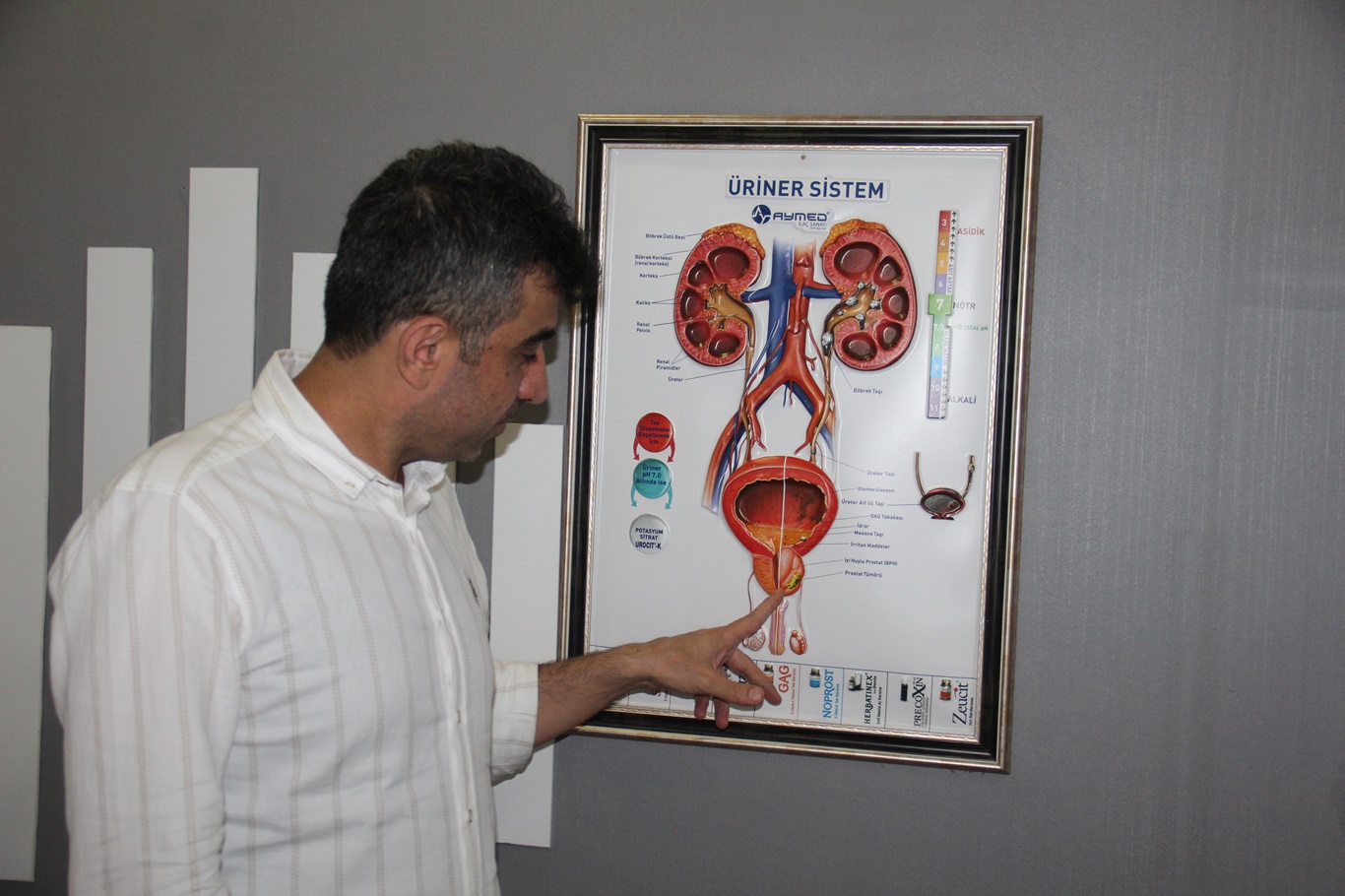 Erkeklerde prostat kanseri riski hangi yaşta artıyor? Uzmanından önemli uyarılar