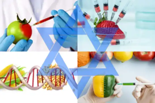 Israel’s agricultural technology raises questions over water access and food security