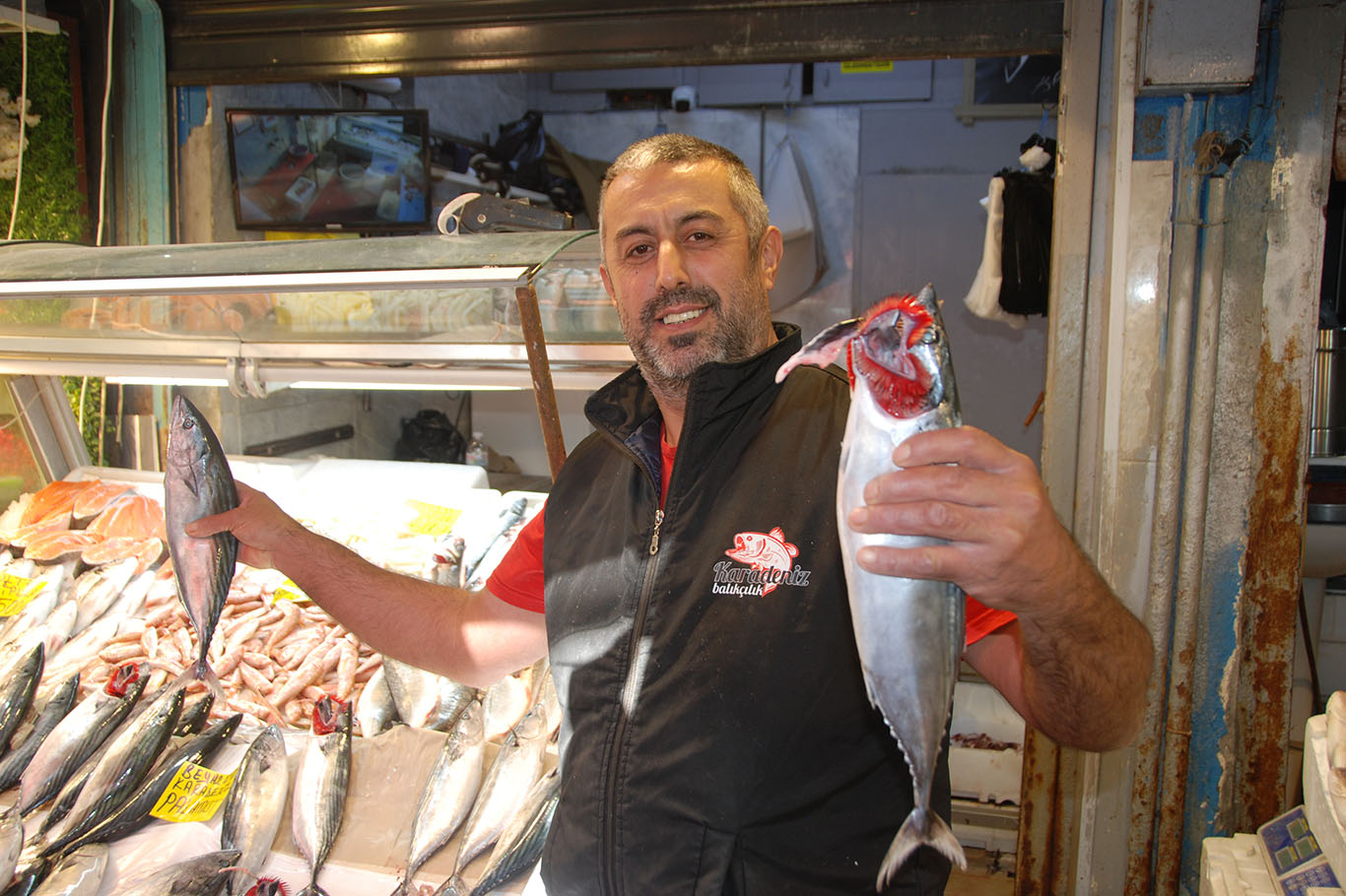 Serkan Çömlek