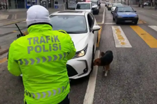 İstanbul'daki "huzur" uygulamasında 529 kişi gözaltına alındı
