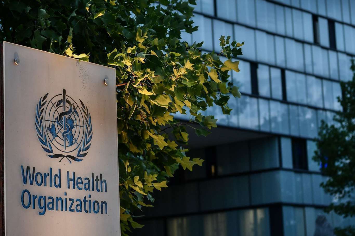 WHO investigates first documented human Shamonda virus infection in France