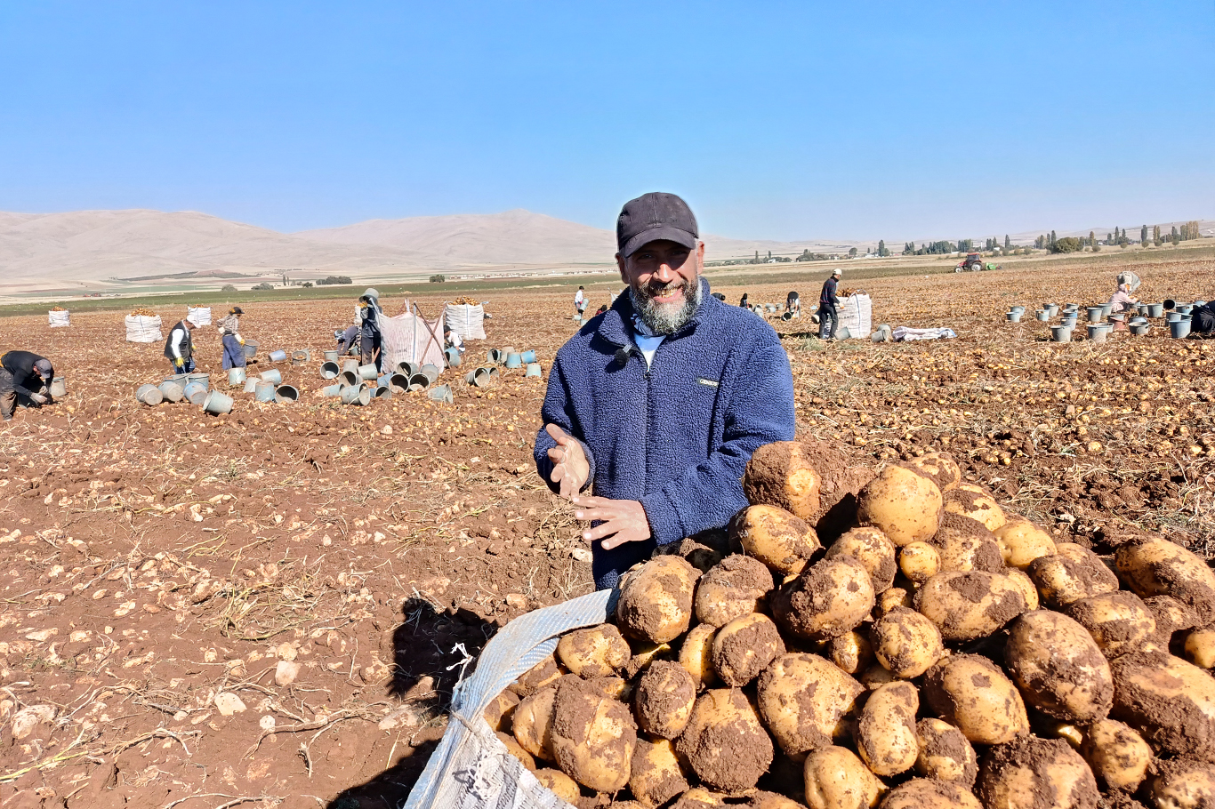 Tohumluk patatesler Türkiye'nin dört bir yanına gönderiliyor