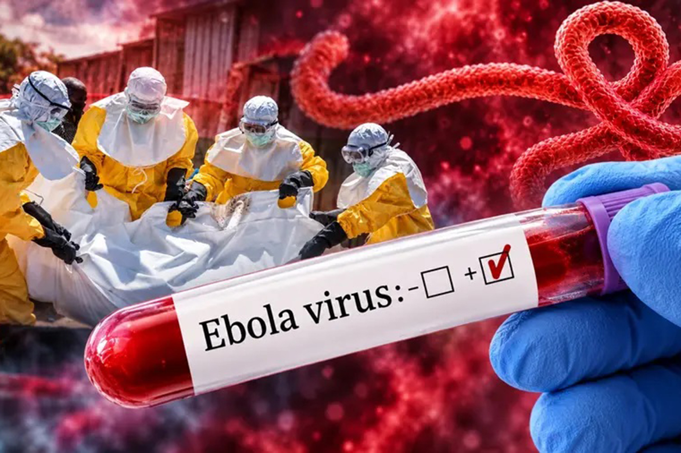 Kenya'da Ebola salgınında ikinci ölüm