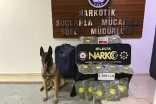 Bilecik’te 8,5 kilo skunk ele geçirildi: 2 şüpheli tutuklandı