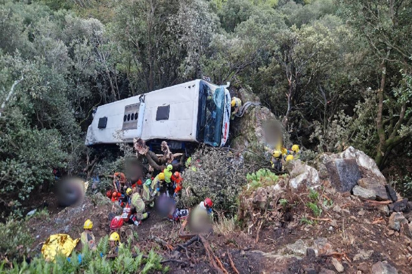 83 injured after bus plunges down embankment near Barcelona