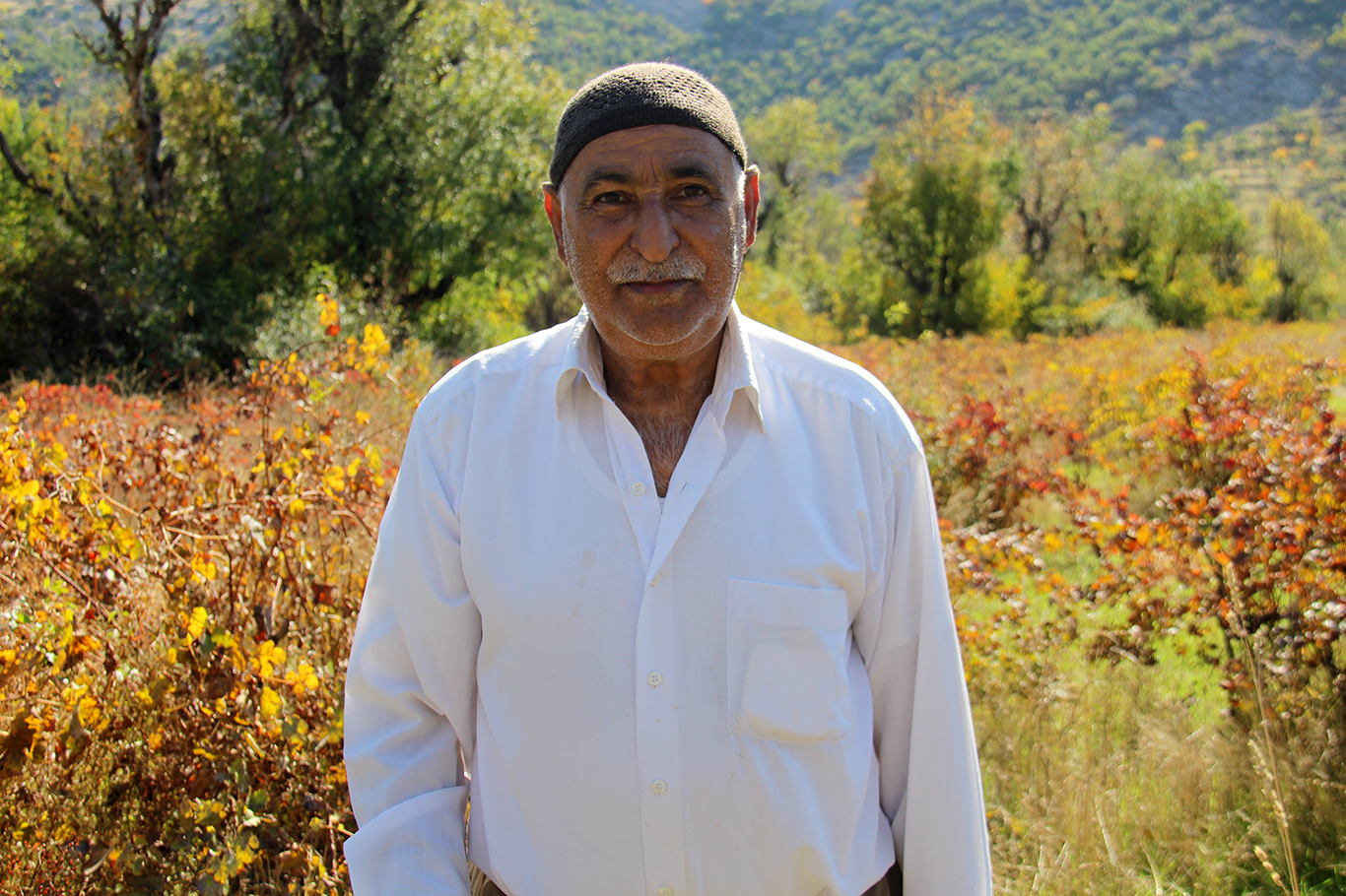 Yaklaşık 3000 yıllık geleneği sürdürüyorlar: pestil, sucuk, kesme, pekmez...