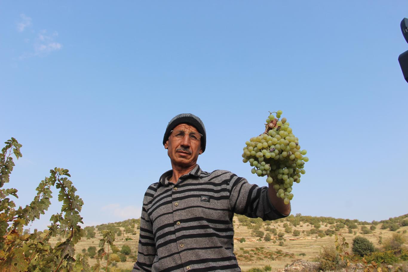 Mardin'de asırlık lezzet: Pekmez, pestil ve cevizli sucuk bereketi