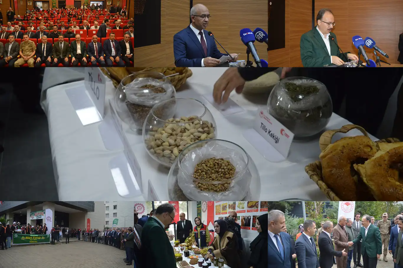 Siirt fıstığında yeni hedef: Üretim 50 bin tona çıkarılacak