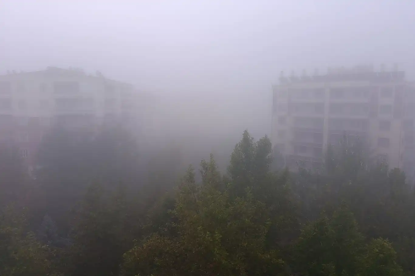 Diyarbakır'da sağanak yağışın ardından yoğun sis etkili oldu