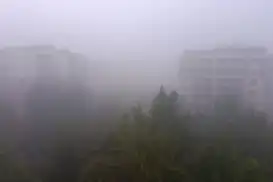 Diyarbakır'da sağanak yağışın ardından yoğun sis etkili oldu
