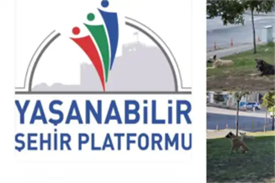 Yaşanabilir Şehir Platformu: 4 Ekim, okullarda başıboş hayvan besleme gününe dönüştürülmemeli
