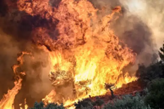 Bulgarian wildfire spreads across border into Greece