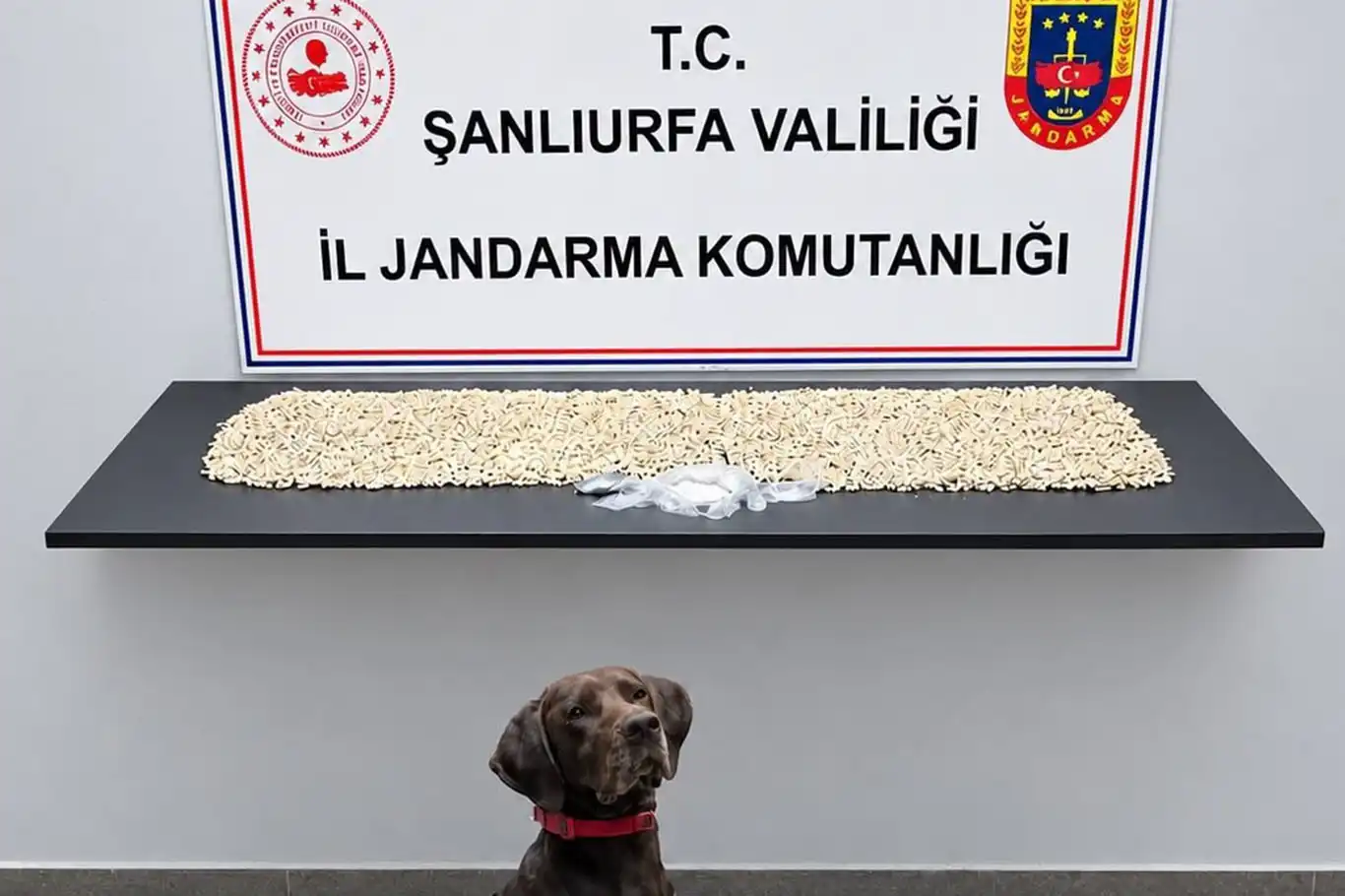 Şanlıurfa'da 14 bin uyuşturucu hap ele geçirildi