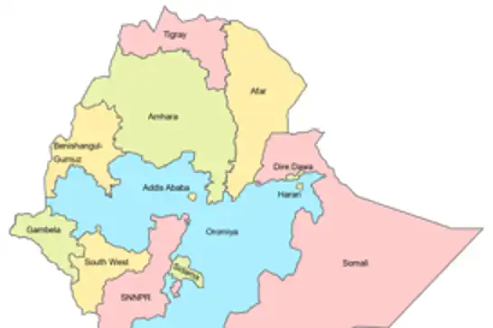 Addis Ababa, Eritre'yi Etiyopya'ya asker göndermekle suçladı